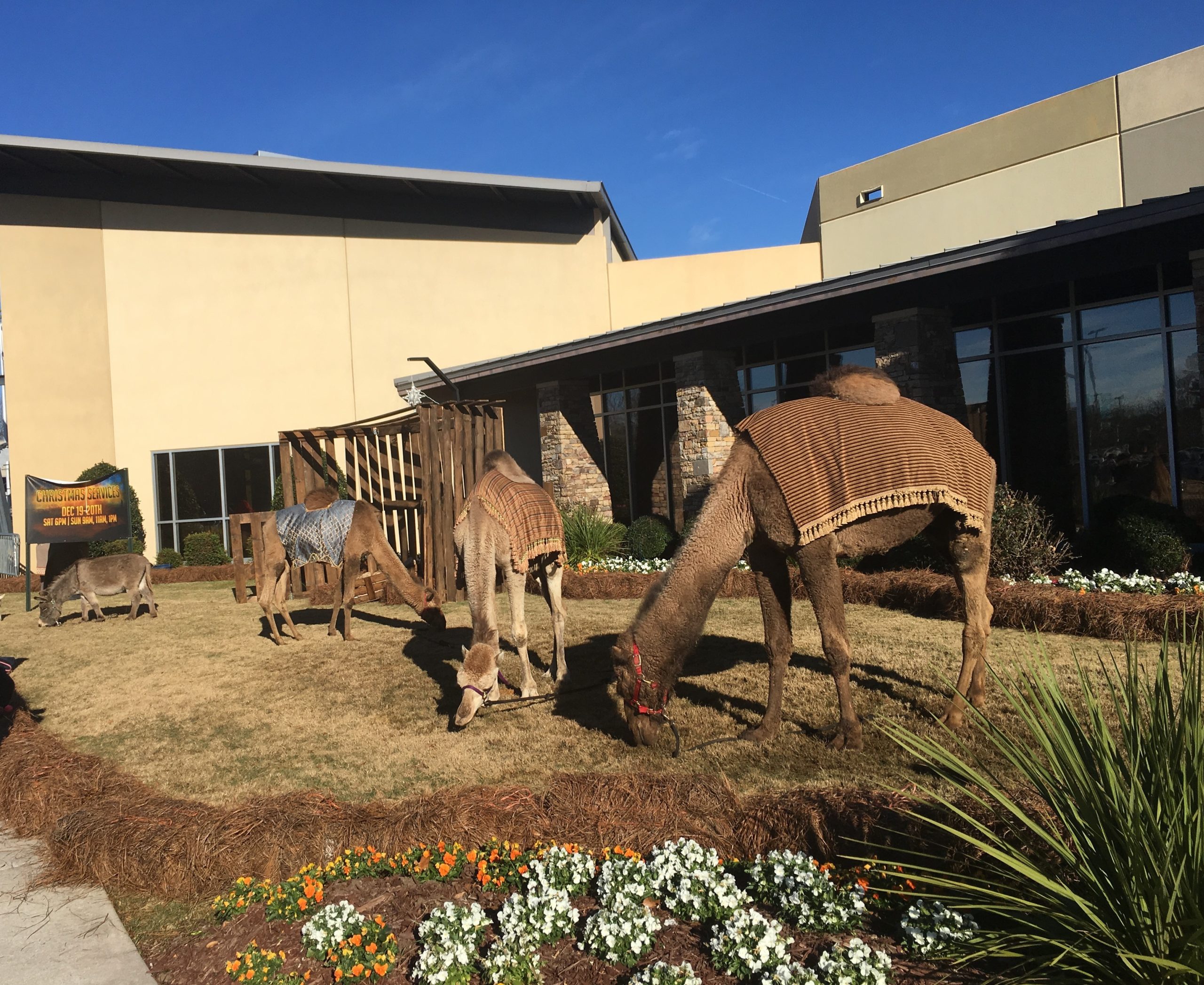 WEEKEND RECAP: CHRISTMAS SERVICE