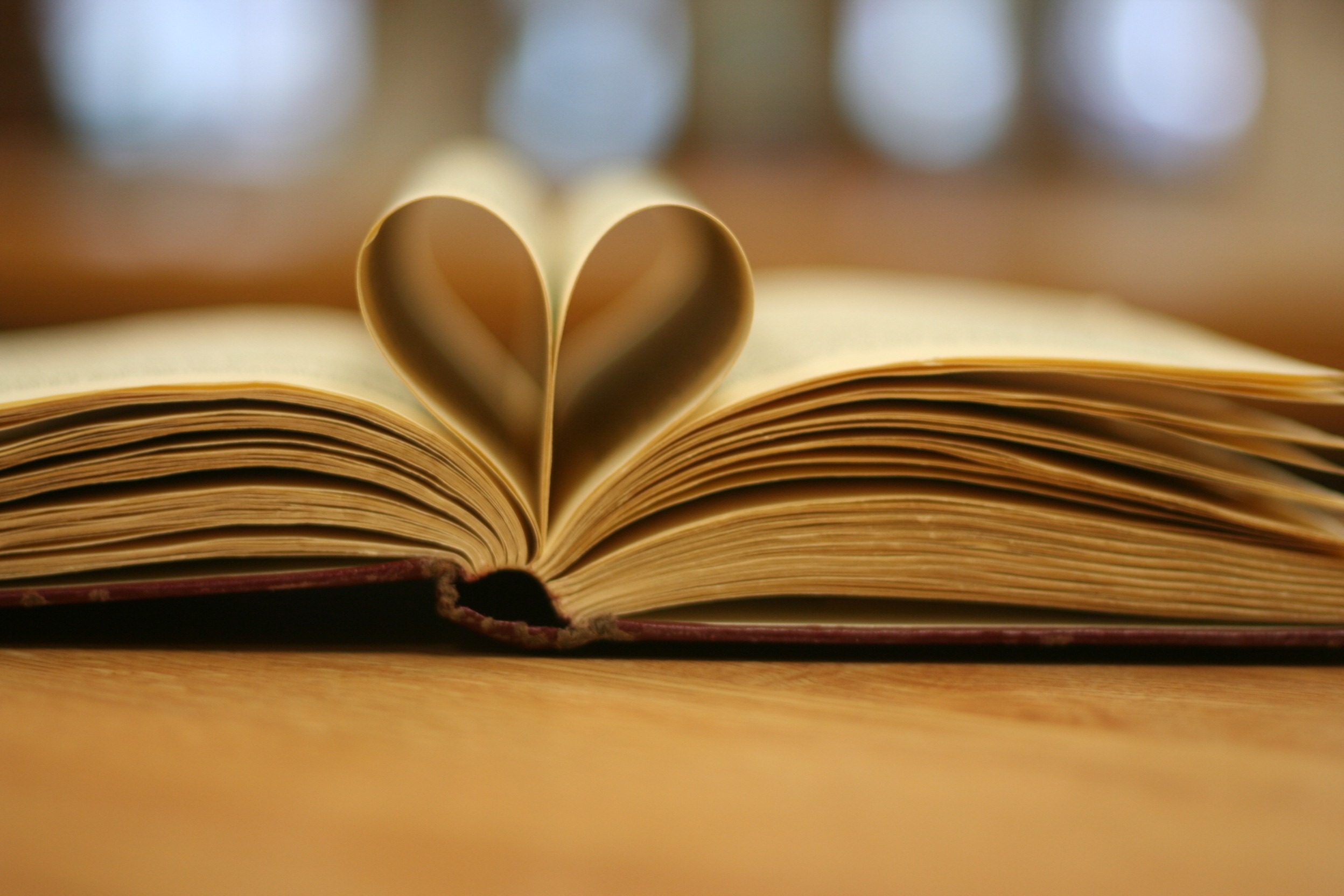 NEW BOOKS: WHAT ARE YOU READING?