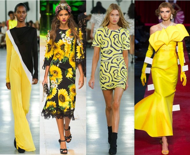 Spring/ Summer 2017 Fashion Trends