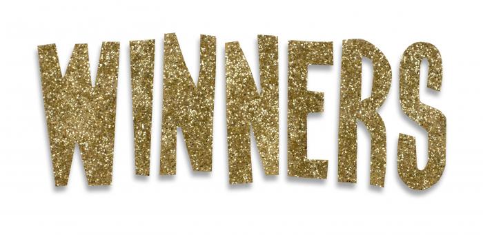 BIG BIRTHDAY GIVEAWAY WINNERS