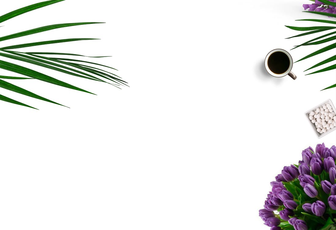 HOW TO GROW ON SOCIAL MEDIA? BE SOCIAL.