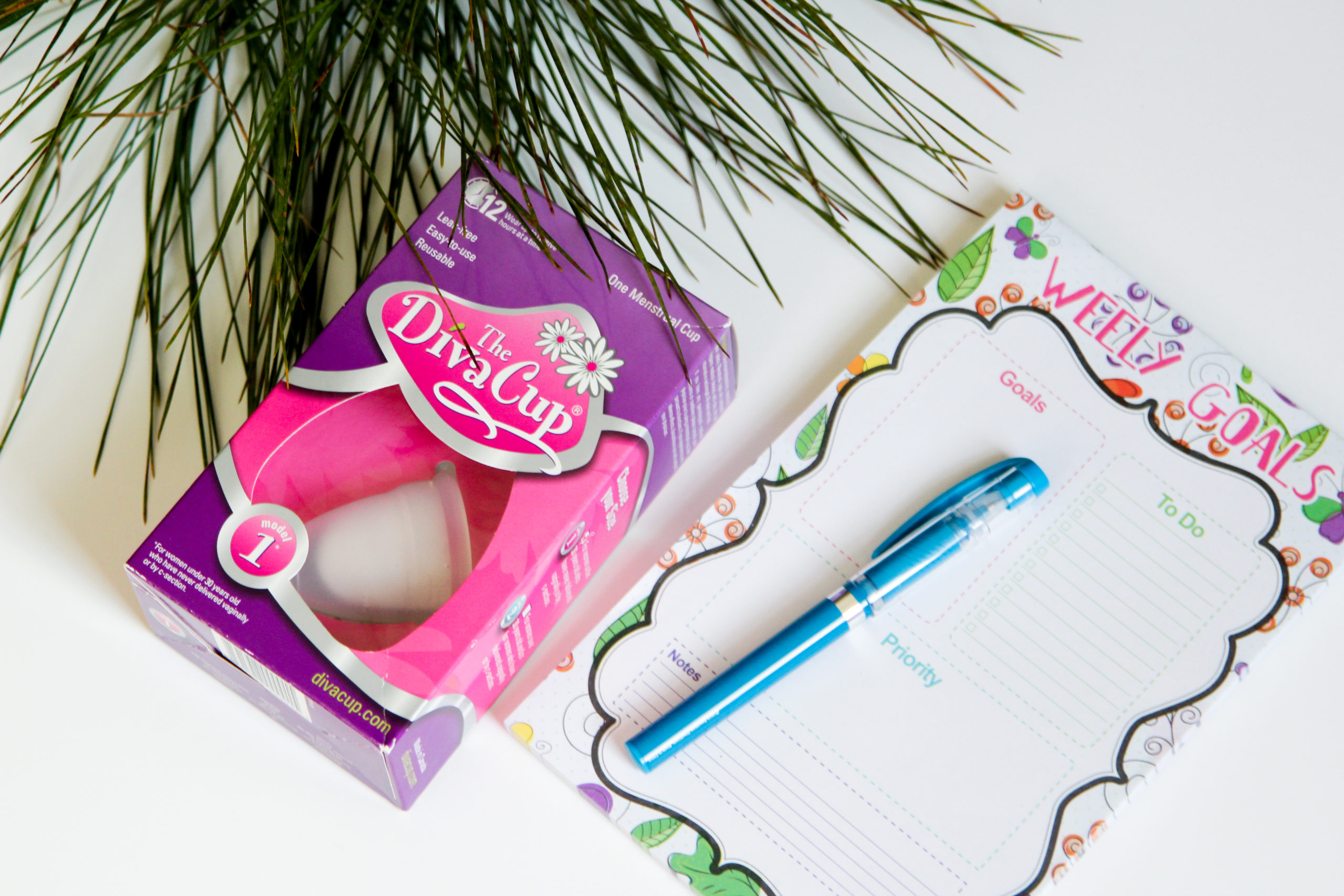 WHAT’S ON MY TO DO LIST +THE DIVACUP