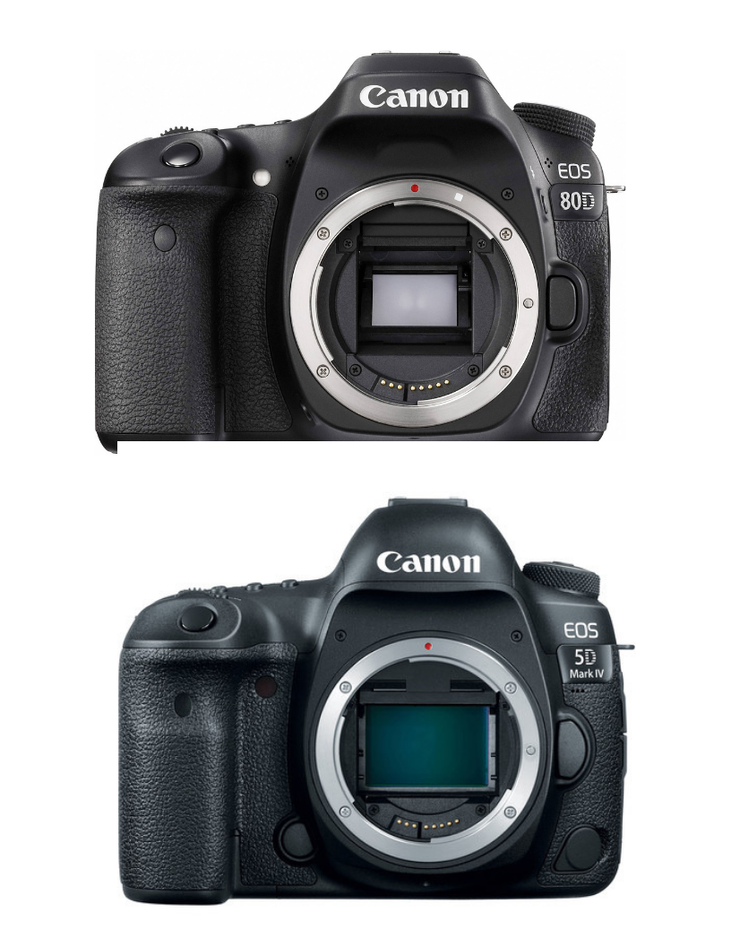 new camera