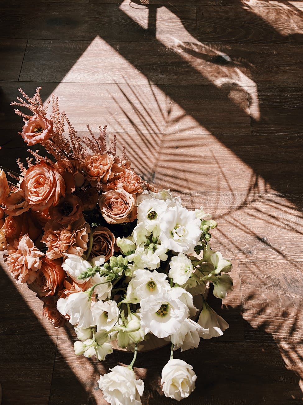 50 things to be grateful for