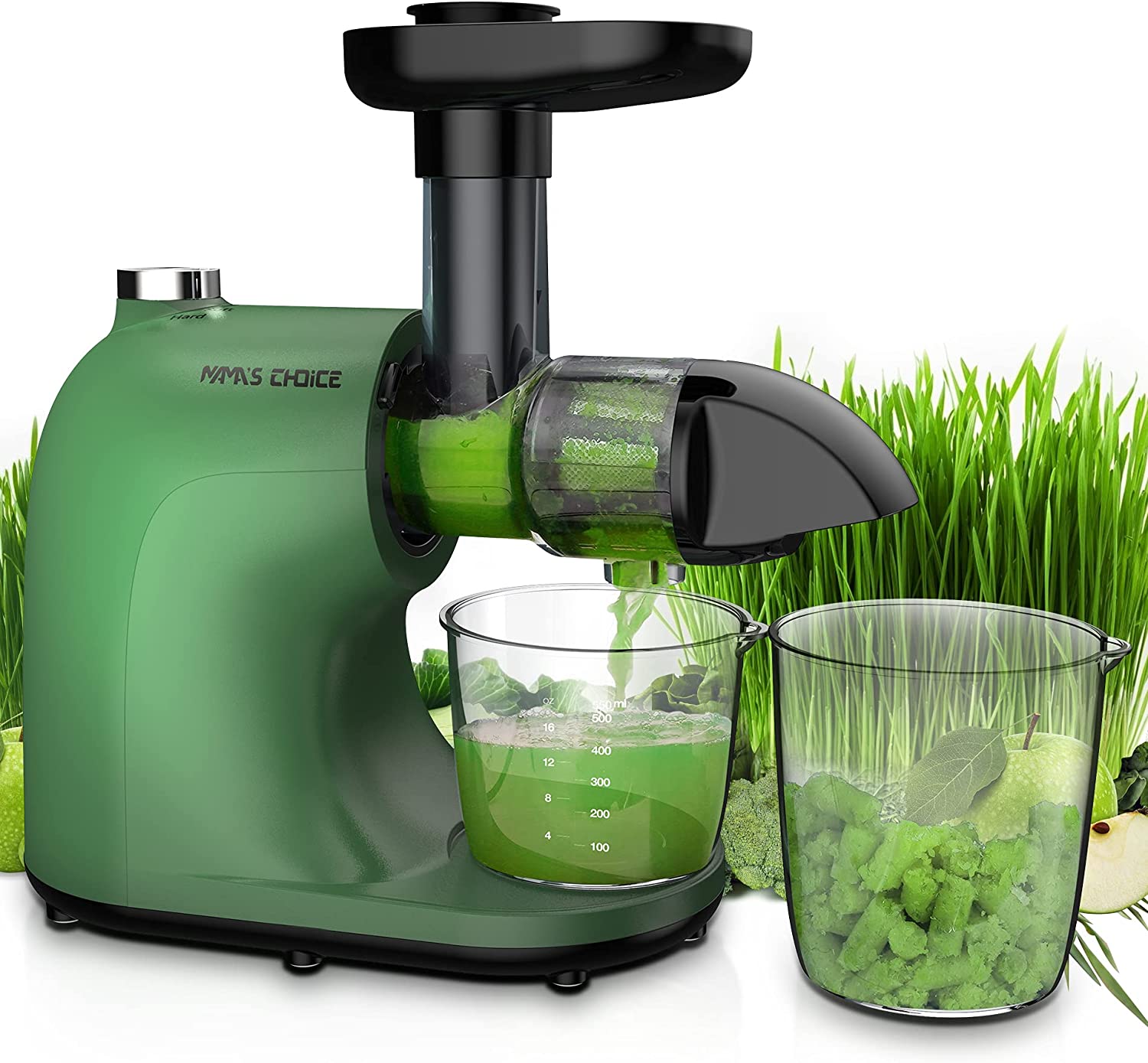 best slow juicer under $100