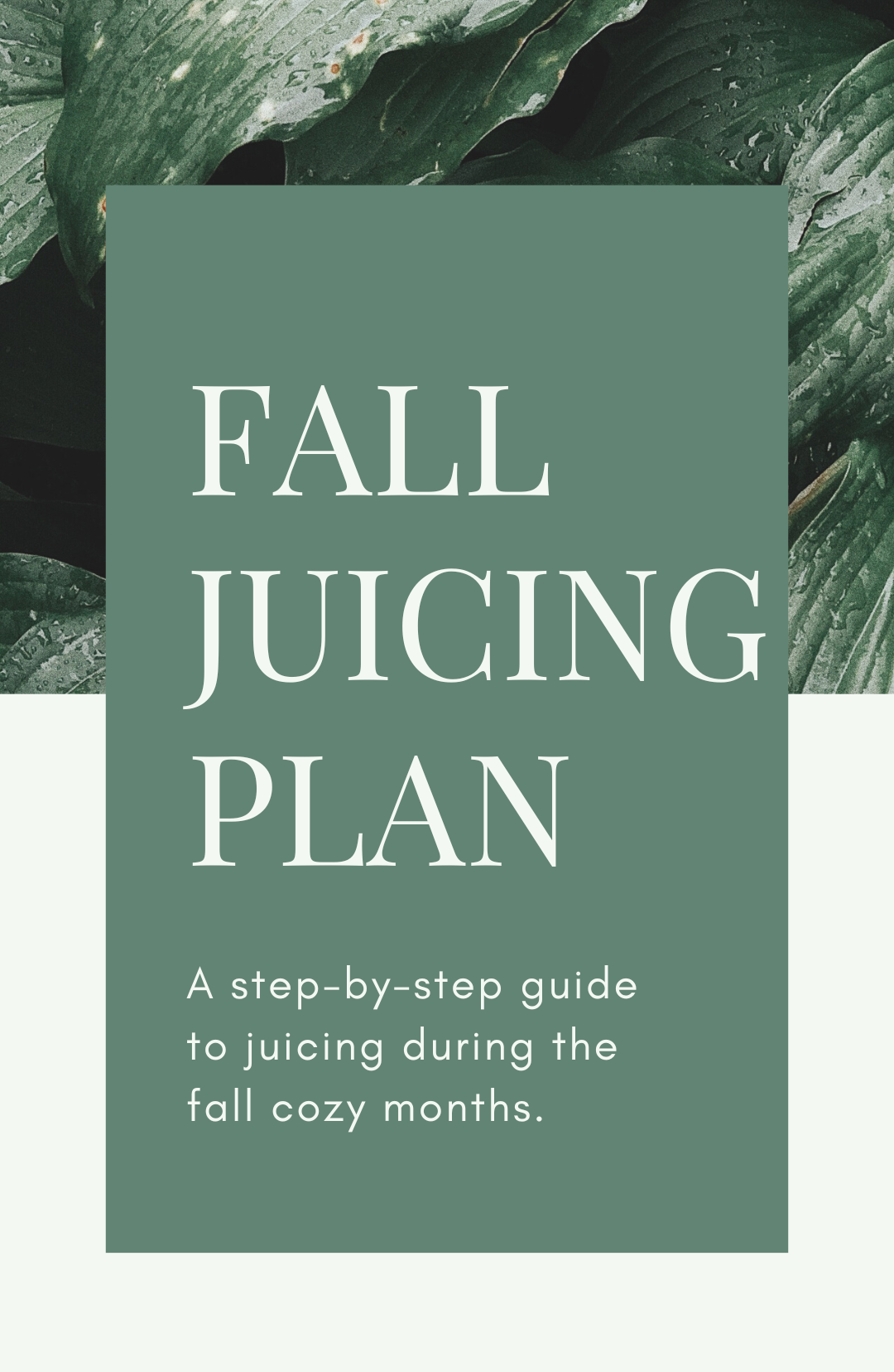 FALL JUICING PLAN