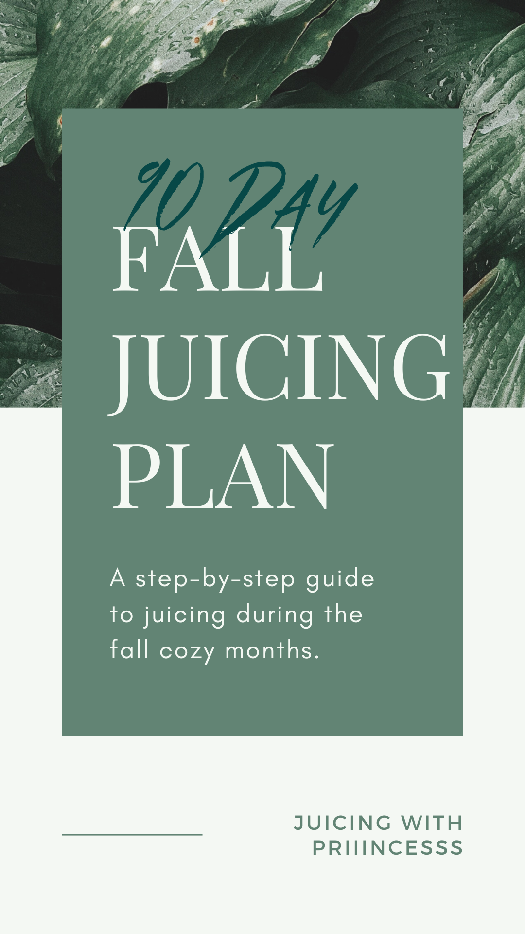 90 DAY FALL JUICING PLAN-3