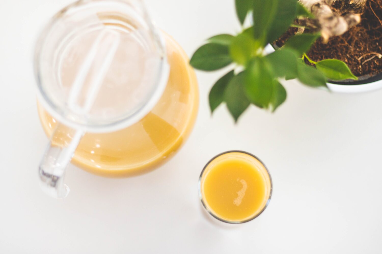 3 Immunity Booster Juice Recipes