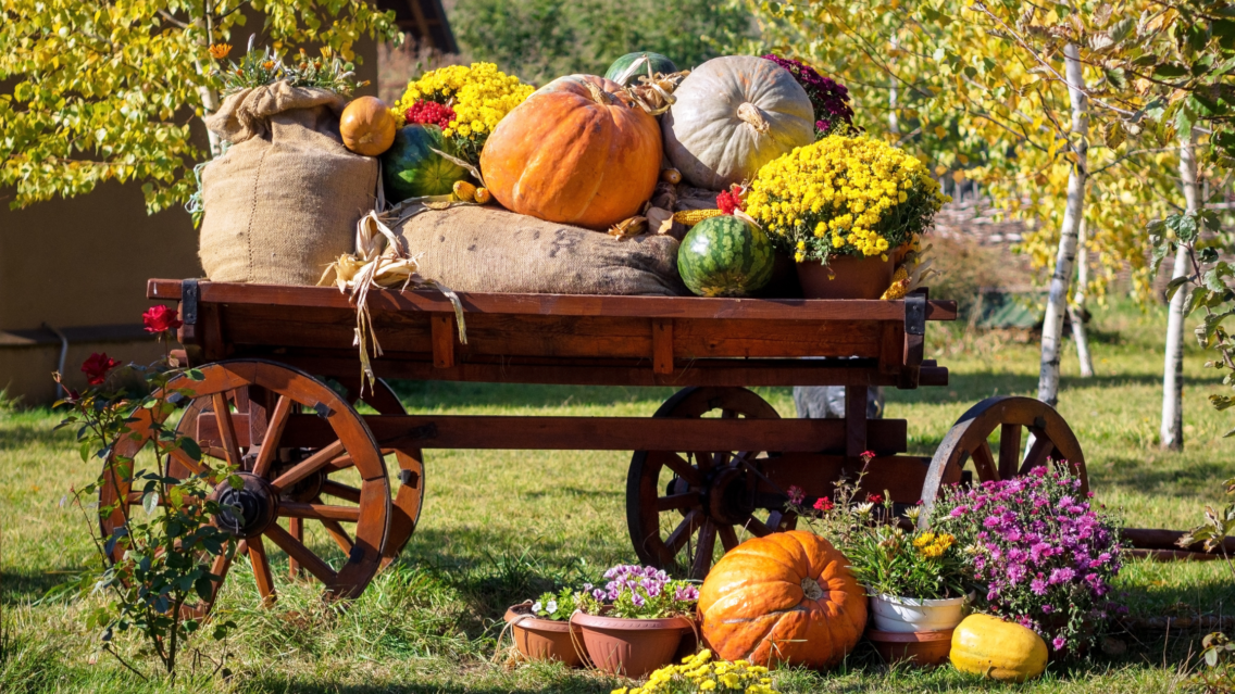 10 Fun Fall Activities for the Whole Family: Enjoy the Season Together!