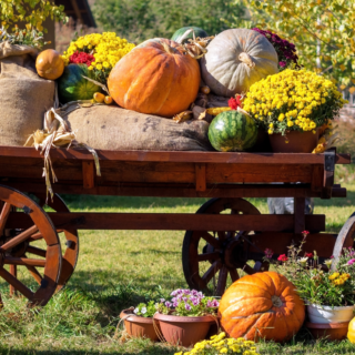 8 Delicious Fall Apple Juice Recipes To Try This  Season