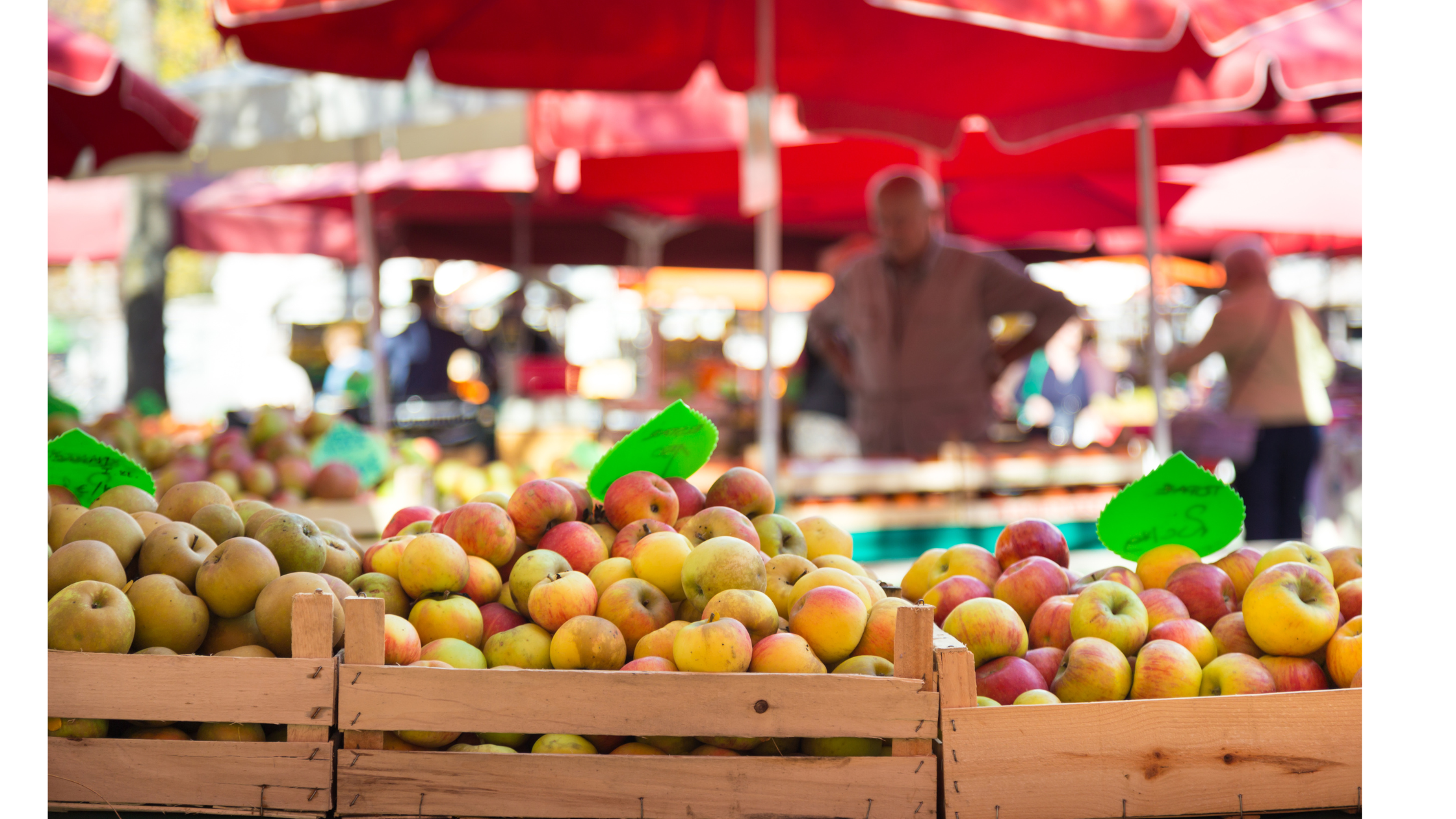 The Georgia Apple Festival 