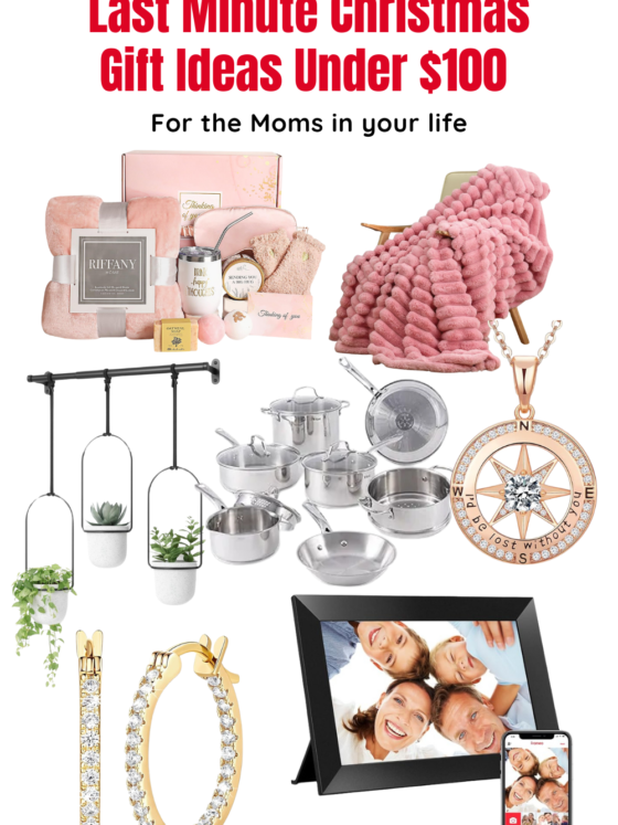 Gift Guide: 7 Last Minute Christmas Gift Ideas Under $100