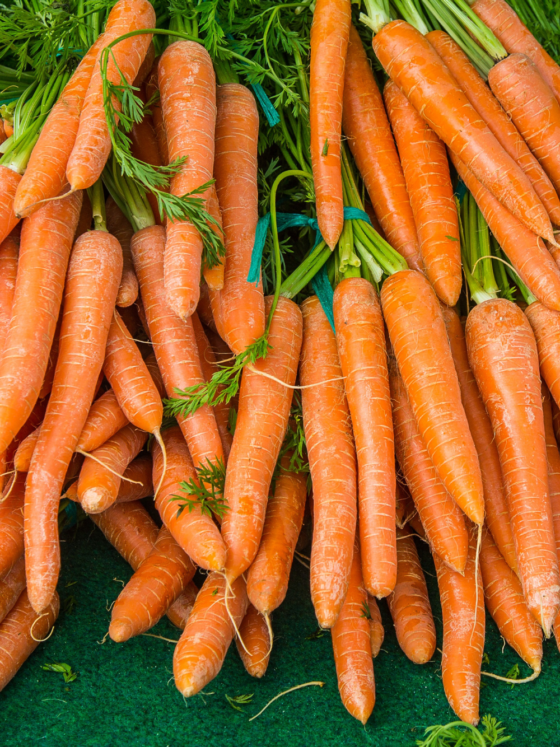 The Gut Health Guide: Nurturing Your Microbiome for Overall Well-being