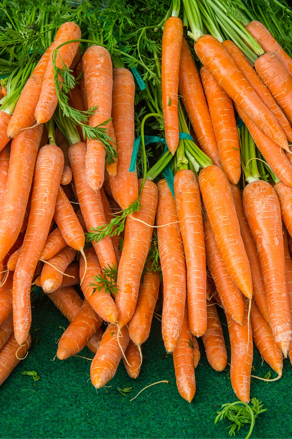 The Gut Health Guide: Nurturing Your Microbiome for Overall Well-being